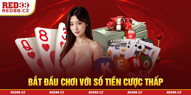 Mẹo cá cược live casino an toàn thắng lớn