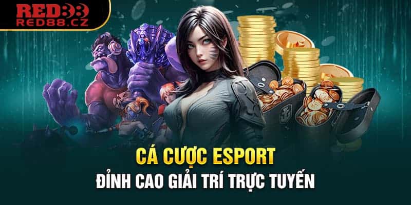 Các kèo cá cược thể thao điện tử hấp dẫn